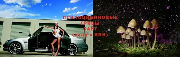 круглые Аркадак