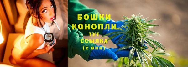 круглые Аркадак