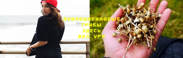 MDMA Premium VHQ Арсеньев